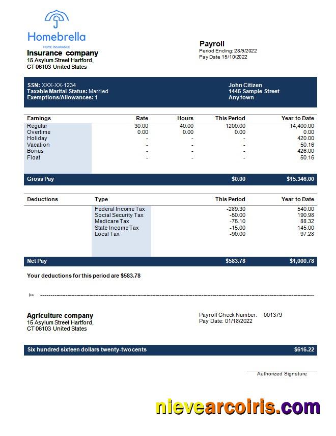 insurance company fully editable earning statement